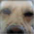 Avatar for ultravixlet