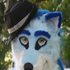 Avatar for Bluewolf11