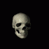 Avatar de scp696