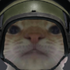 kelrrot için avatar