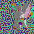 Avatar for lennuh1