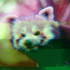 Avatar for Foxer13