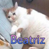 Beatrizwkn_ さんのアバター