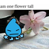Avatar di foreverawake