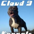 Avatar for Cloud9Kennels