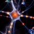 Neuronaik 的头像