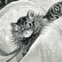 cattuccine için avatar