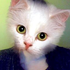 Avatar for barnicole
