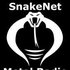 Avatar for SnakeNet Metal Radio