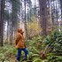 FM Forest 的头像