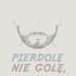 Avatar for Kondziu45