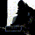 Avatar for xS_Sk