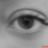 Avatar di curipan