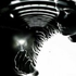 Avatar for RBW