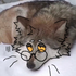 Avatar for jakonyx