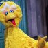 Big Bird のアバター