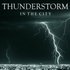 Thunderstorm Global Project のアバター