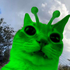 Avatar for Tiipps