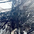 Awatar dla cyberdimension