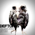 Avatar de rip_ger
