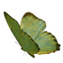 Avatar for ssijjei