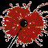 Avatar for FrapleDeXRay