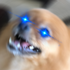 Avatar for Niggakick