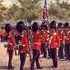 British Grenadiers 的头像