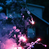 Avatar for trelemorele123