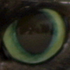 Avatar for Tanalin