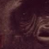 Avatar di SORRY4DAWAIT