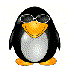 PinguinBen için avatar