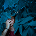 Avatar for no0reas0n