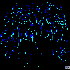 Avatar for Warhaul345