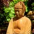 Avatar for Buddha Music Sanctuary