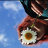 daisysmells 的头像