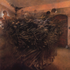 Avatar di HerrMorbid