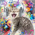 Avatar di liv_lie