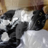 Avatar for vncvr