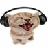 Avatar for Nxcturnus