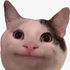 Avatar for kuugang