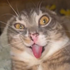 Avatar for St4rrySkie3