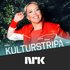 Avatar for Kulturstripa