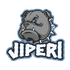 Avatar for Jiperi