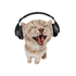 tvfuma için avatar