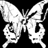 Avatar für you_know_answer