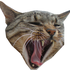 Avatar for pobrechavala