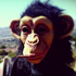 SpacemonkeyYall 的头像