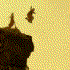 Avatar for okkuri