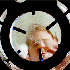 Avatar for chapelwaite